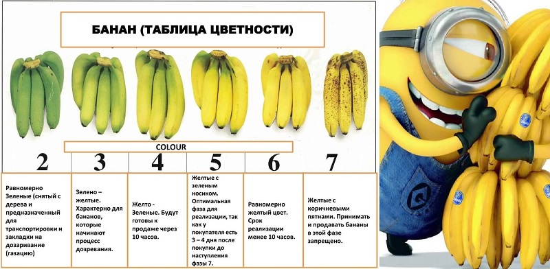 Таблица спелости бананов