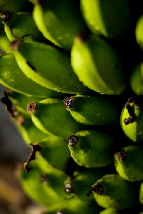 Бананы очень полезны для здоровья