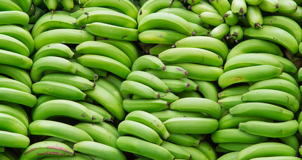 Недозрелые бананы